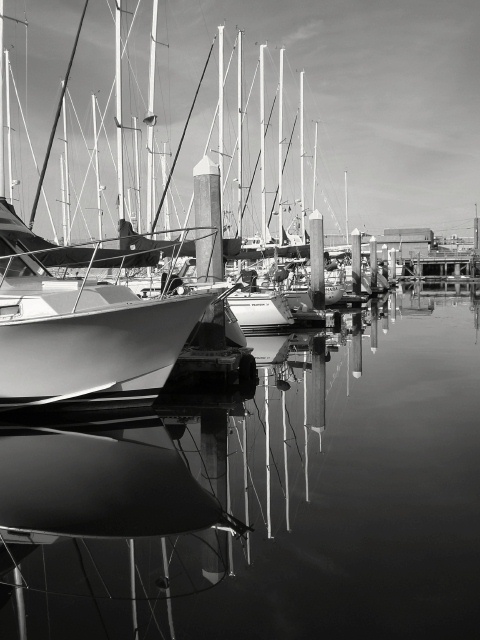Marina reflections in B&W