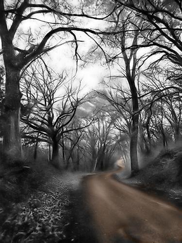 down the road.jpg