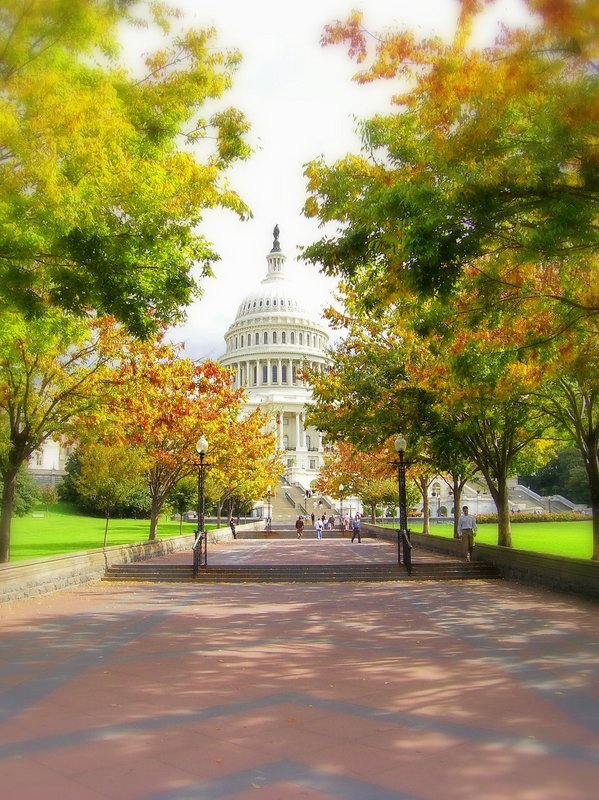 Capitol 21.jpg