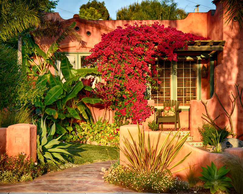 In and Around Balboa Park Week 16 - Bougainvillea House