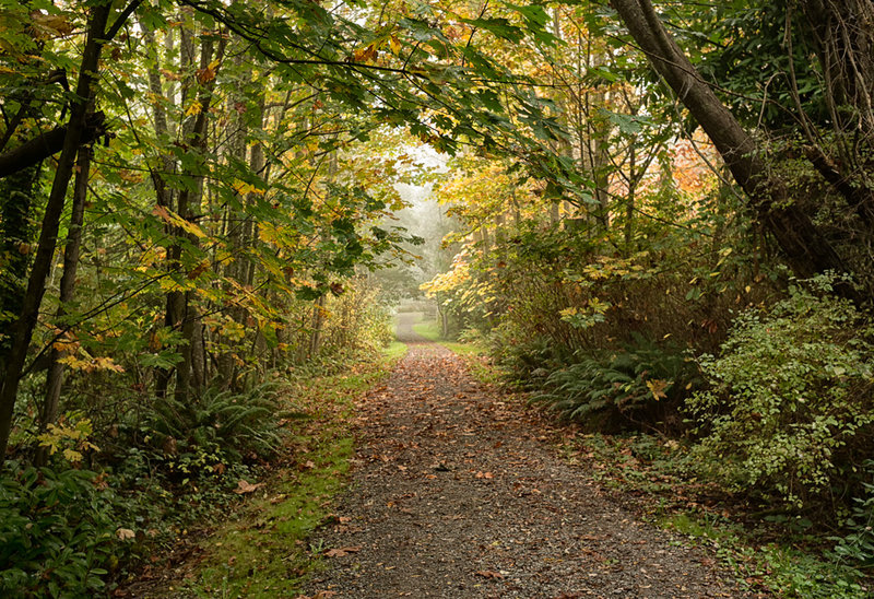 Out and About in Seattle Week 39 - Trail