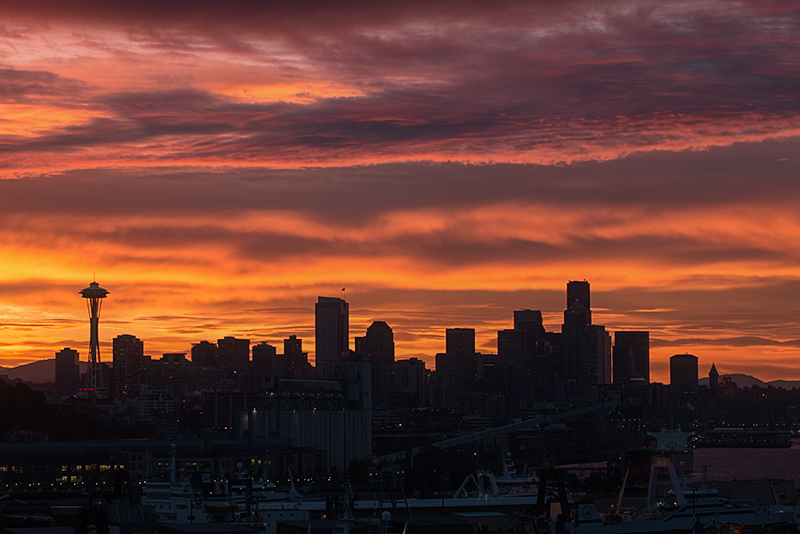 Out and About in Seattle Week 42 - Cityscape
