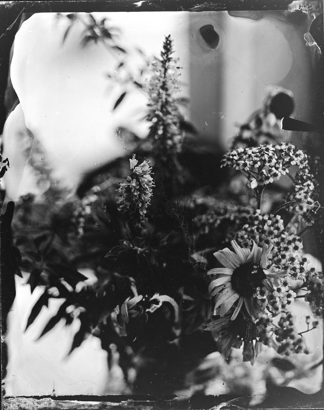 Week 27 Bonus - More Dead Flowers