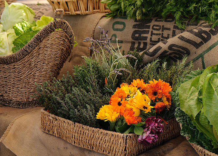 Farmer's Market