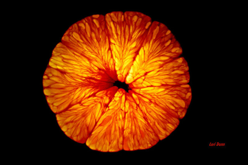 Orange Slice