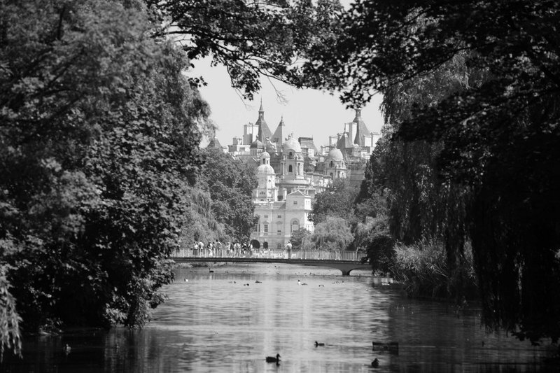 London View.jpg