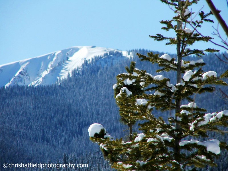 fresh mountain air.JPG