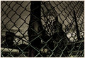 ' . substr('//images.dpchallenge.com/images_portfolio/65000-69999/67145/120/642291.jpg', strrpos('//images.dpchallenge.com/images_portfolio/65000-69999/67145/120/642291.jpg', '/') + 1) . '