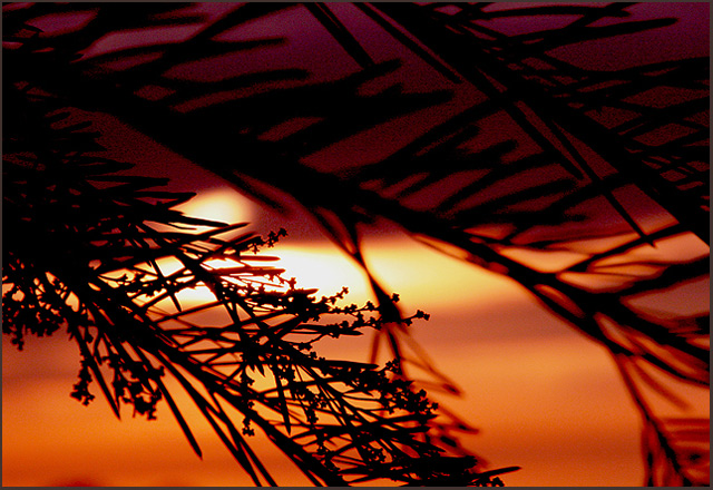 Sunrise in Landscape