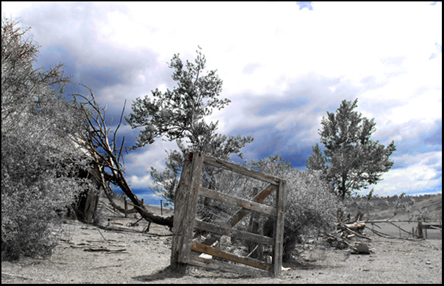 IMG_6955-gate-cropd-s4w.jpg