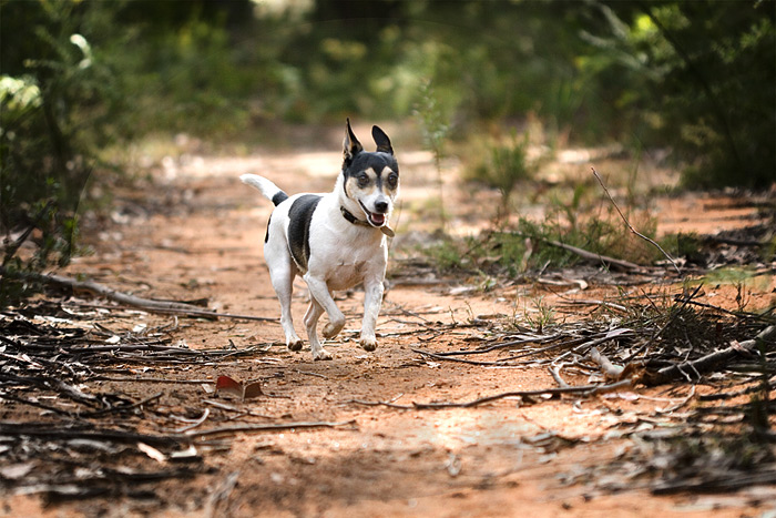 katee running