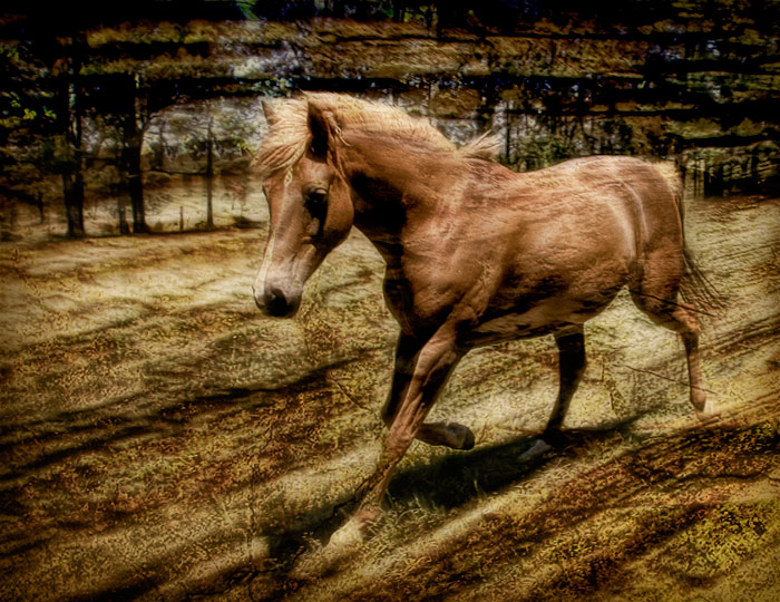 day 6. overlays. movement