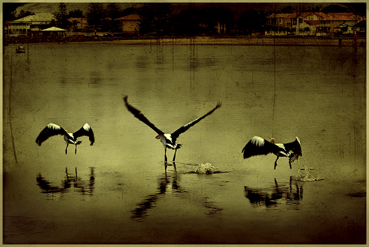 day 5. feb 08 overlays. flight