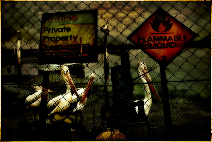 day 6. feb 08 overlays. worlds collide