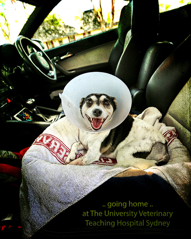 6 - Dec 12. OverlayOrAnything - going home