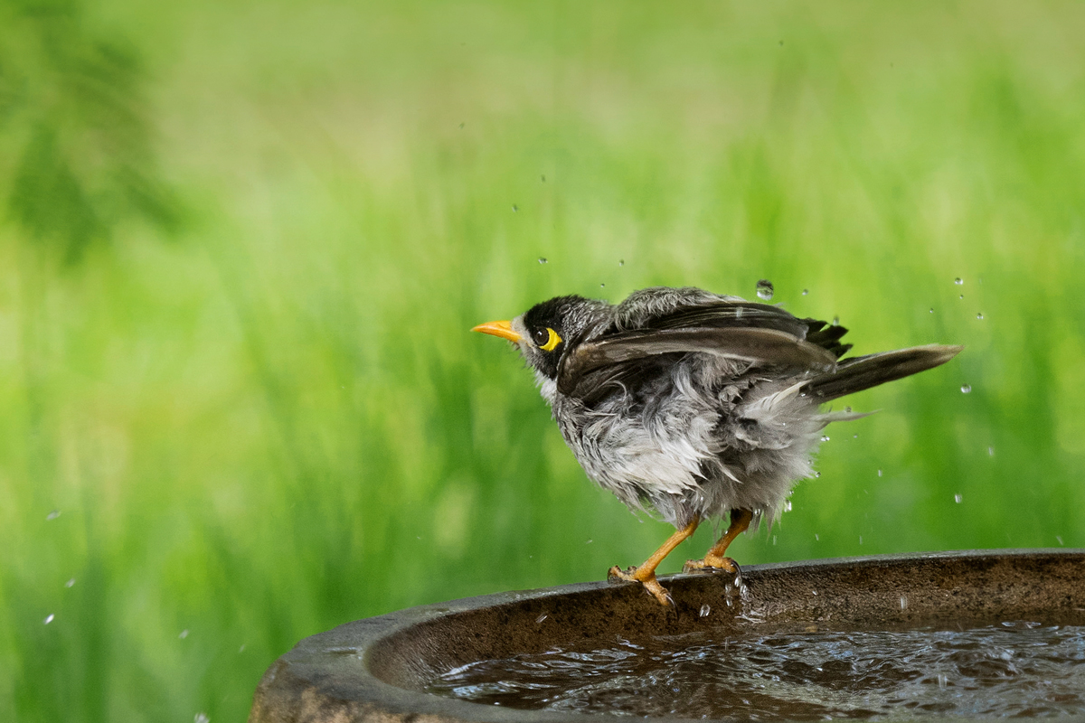bath time