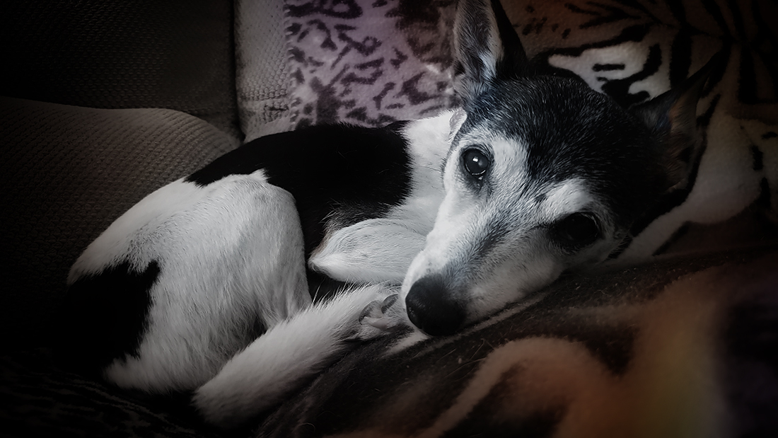 my little old girl