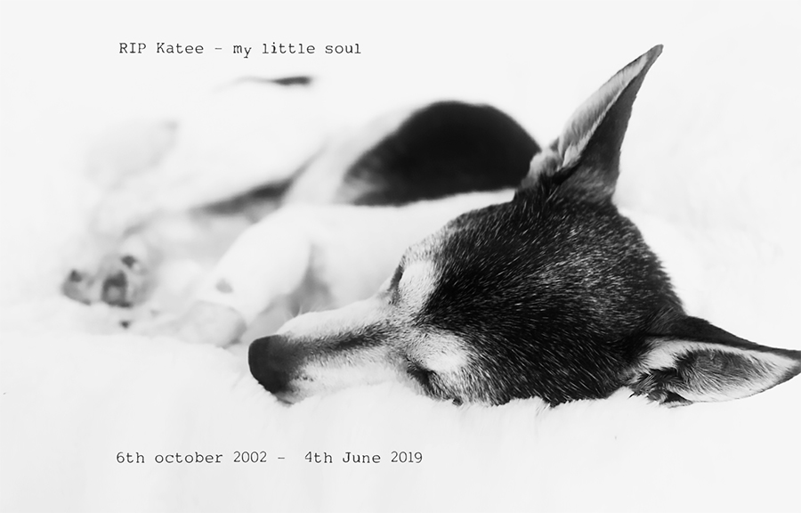 my girl - 6th Oct 2002 - 4th June 2019