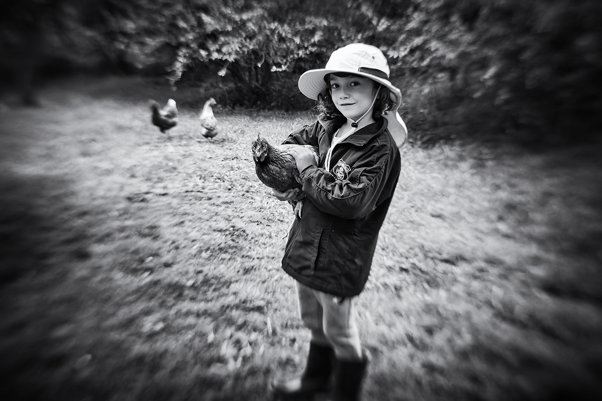 max and chickens