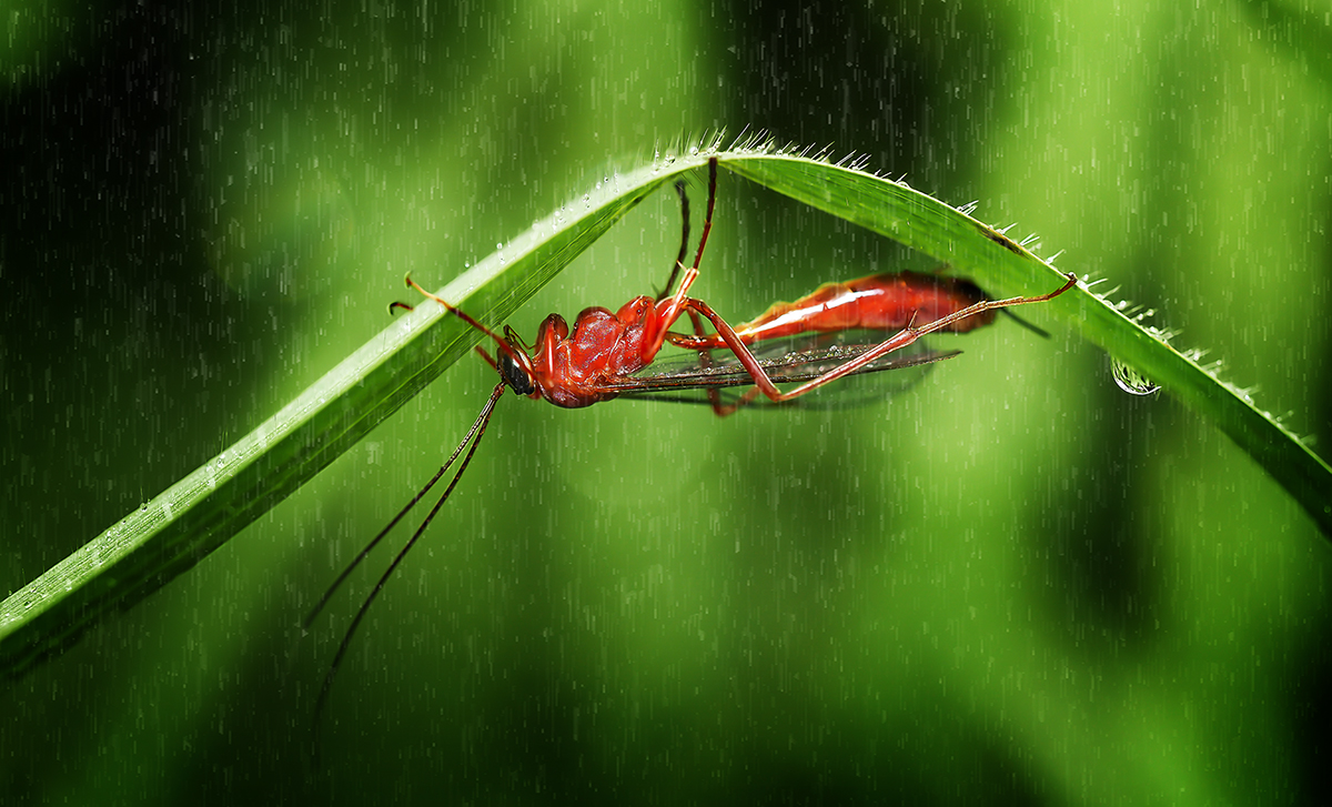 Taking shelter from the elements 2