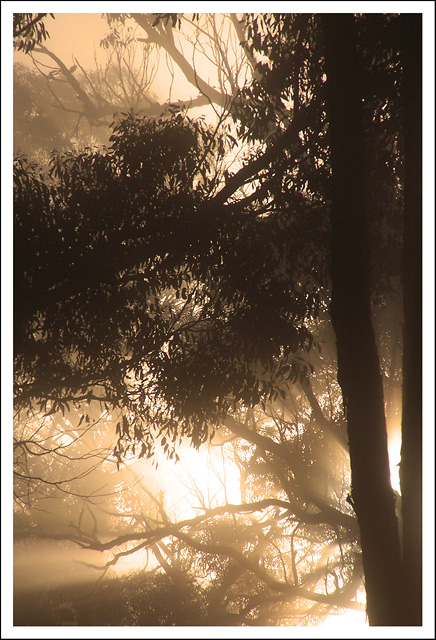 Gums with Atmosphere