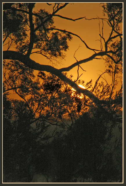 Sunset Silhouette