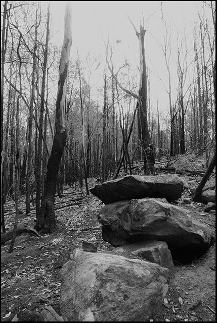 desolation in black&white