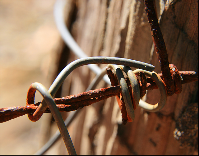 . barbed wire .