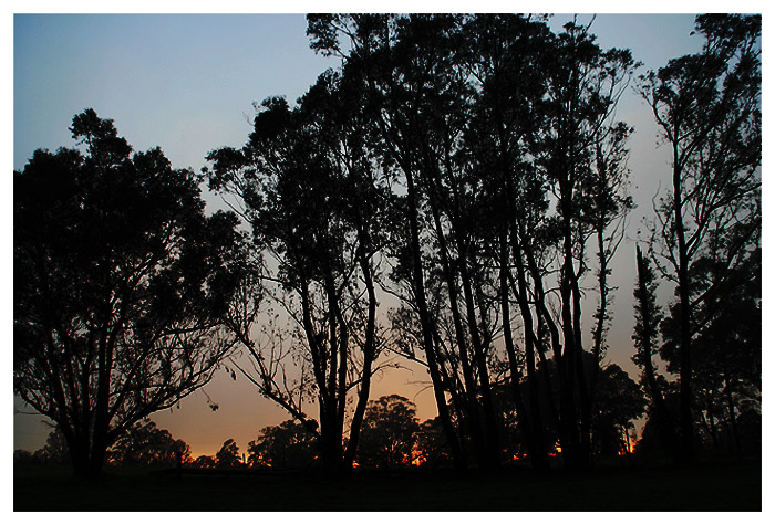 DAY 21. where i live. gums in silhouette .