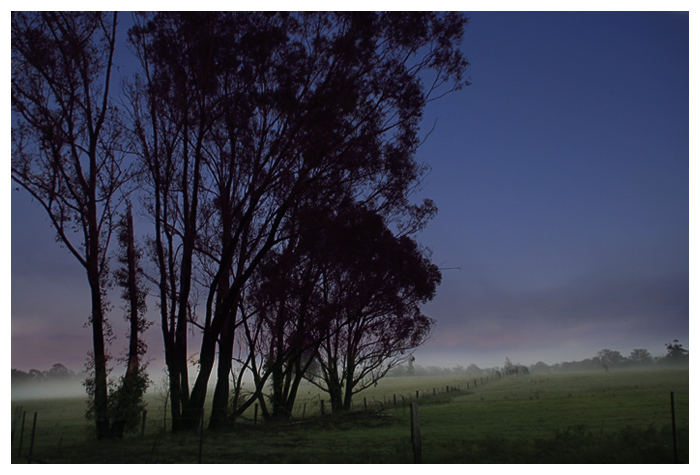 DAY 21. where i live. weird sky with mist .