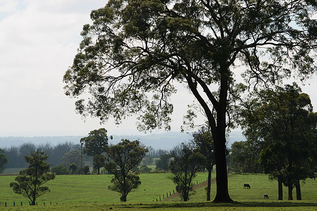 DAY 22. where i live . pastorale ...