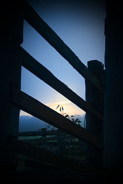 DAY 30. where i live. cattle yards .