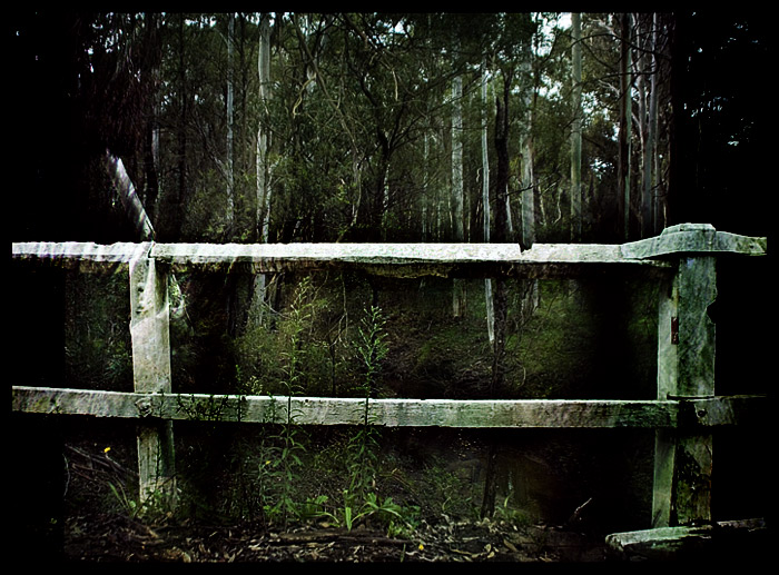 DAY 30. where i live. dark & eerie bridge scene!!