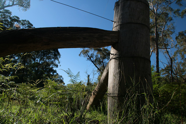 DAY 3. minimal edit. fence .