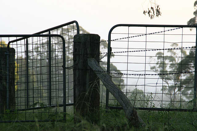 DAY 22. unedited. 3 gates .