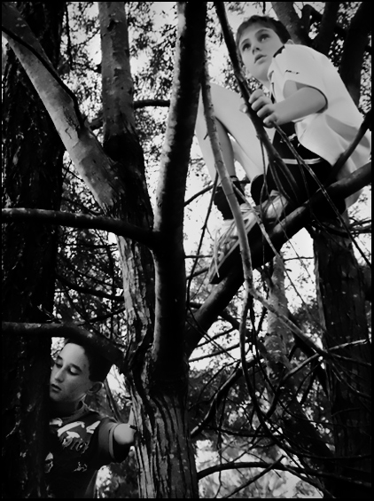 DAY 13.5 B&W .. pat & tristan up a tree ..