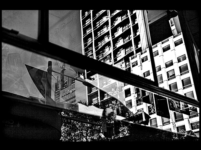 DAY 24. B&W. bus driver & reflections ...