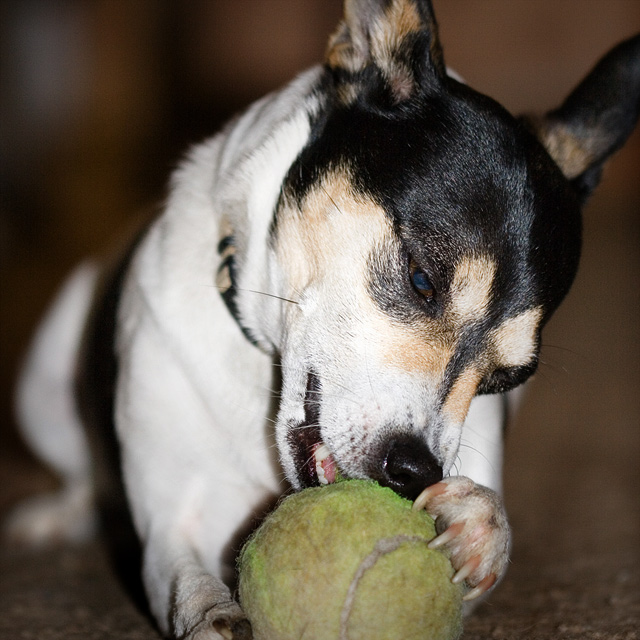 day 8. 50 days square crop. katee & ball
