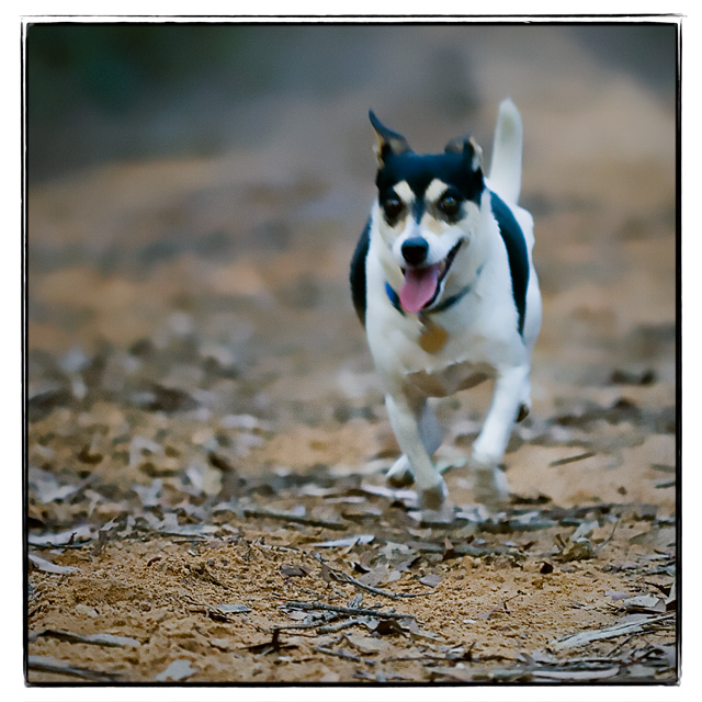 katee on the firetrail