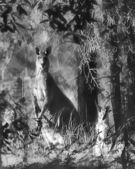 day 5. SEPT B&W. mother & child