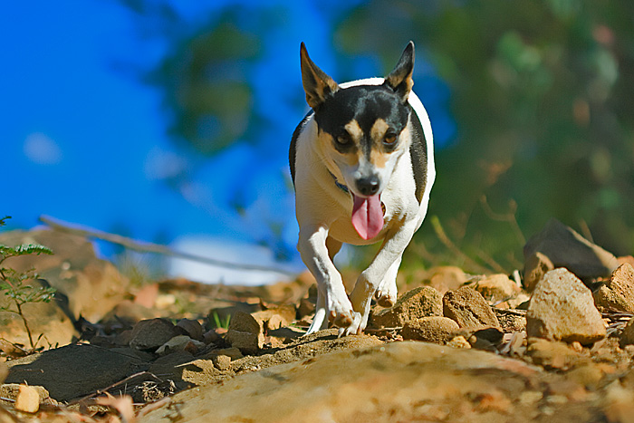 katee in bokeh