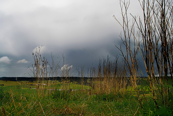 dry grass and clouds