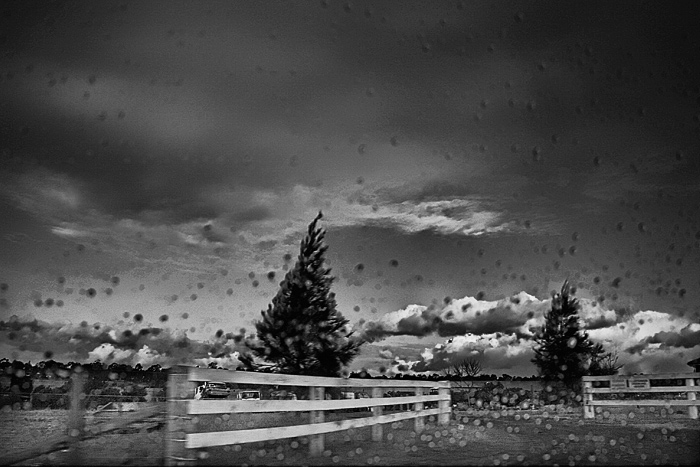 day 8. SEPT B&W. storm