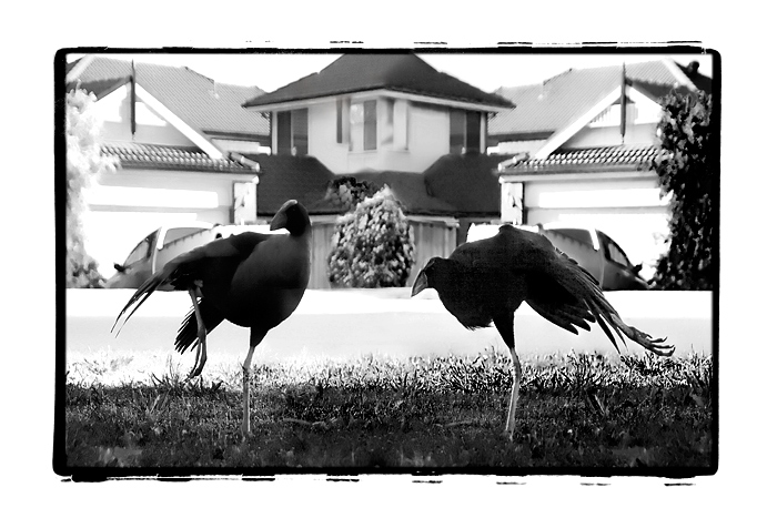 day 14. SEPT B&W. mirror image