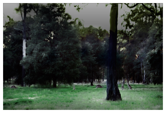 day 4. slice of life. 5 kangaroos