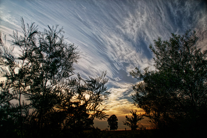 day 6. slice of life. silhouettes & sky