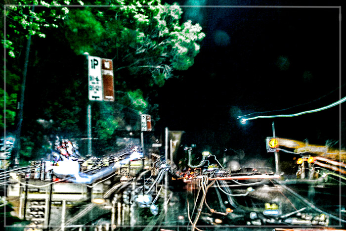 day 10. picton at night 