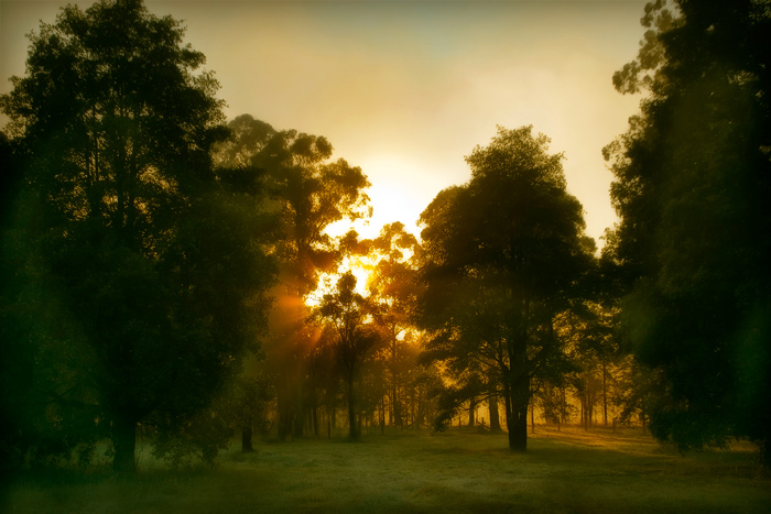 day 28. slice of life. a beautiful sunrise