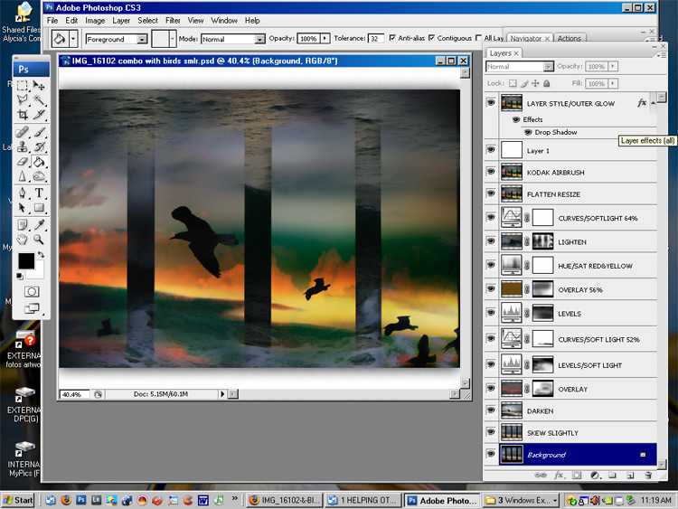IMG_16102-&-BIRDS-WORKFLOW-s4w.jpg