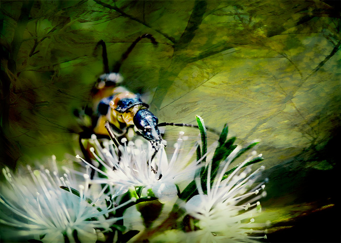 day 16. overlays. bugs in green